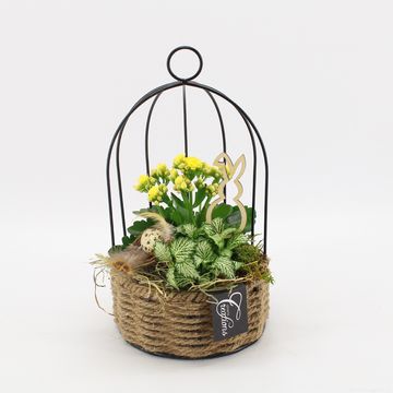 Kомпозиции Пасха