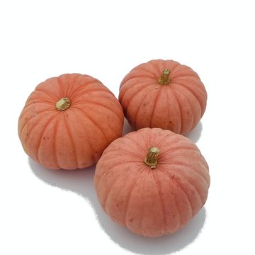 Cucurbita maxima 'Miss Sophie Pink'