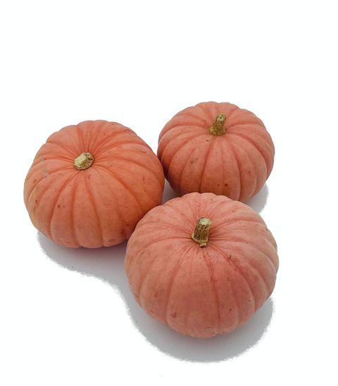 Cucurbita maxima 'Miss Sophie Pink'