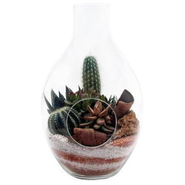 Arranjo Cactus / Succulent