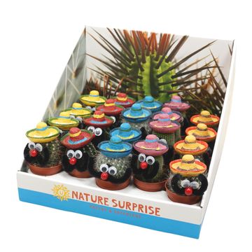 Cactus MIX